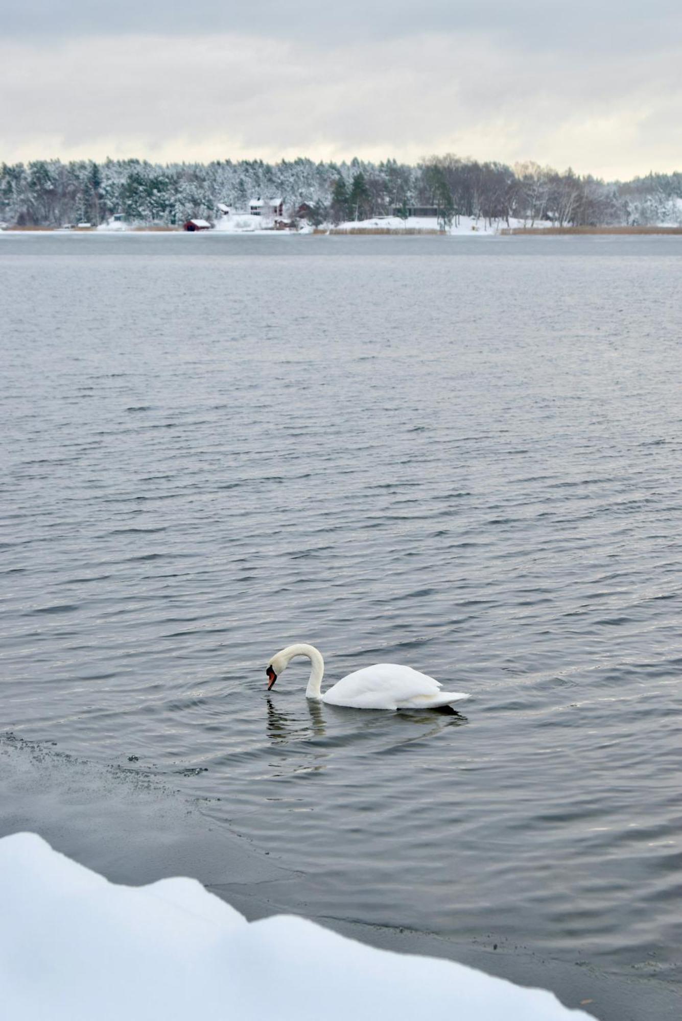 Sjoestuga/Gaesthus I Skaergarden. Åkersberga 外观 照片